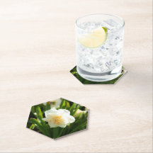 Große weiße Narzissen an einem Frühlingstag