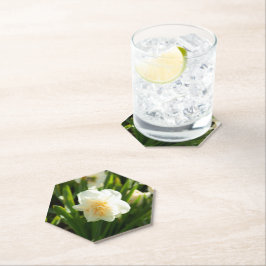 Große weiße Narzissen an einem Frühlingstag Untersetzer