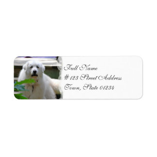 Große weiße Pyrenäen Dog Mailing Labels