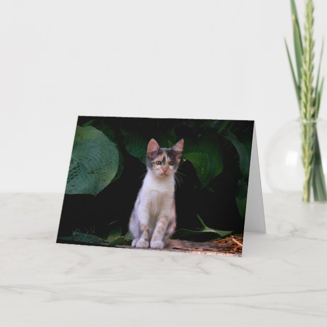 Große Welt Karte (Vorderseite)