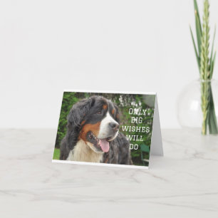 GROßE WÜNSCHE ZUM **21. GEBURTSTAG** KARTE