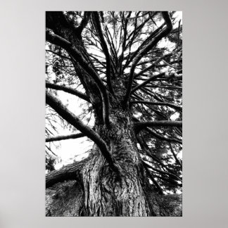 größer als du denkst poster