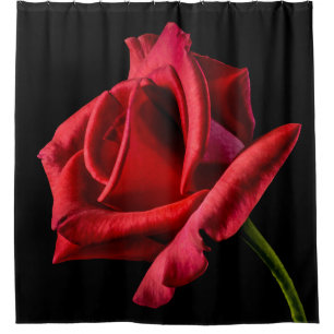 Großer aufgehaltener Rosen-Duschvorhang Duschvorhang