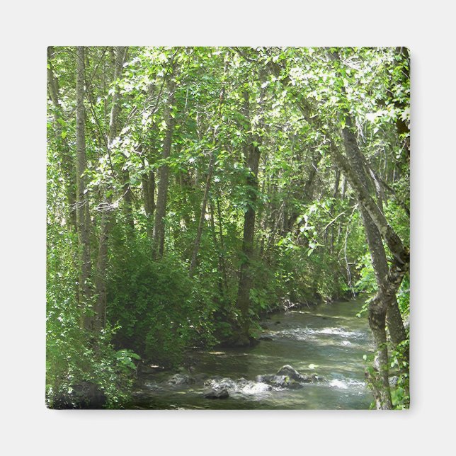 Grosser Bach in der Sommerzeit...... Magnet (Vorne)