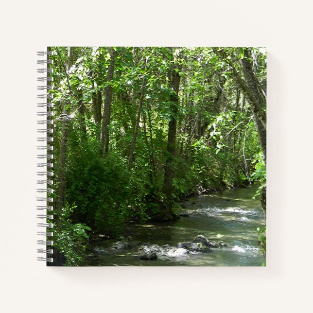 Grosser Bach in der Sommerzeit...... Notizbuch (Vorderseite)