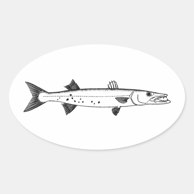 Großer Barracuda-Logo Ovaler Aufkleber (Vorderseite)