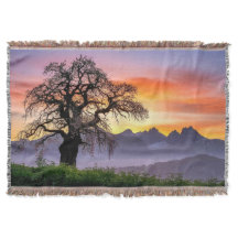 Großer Baum Frühmorgens-Wurfdecke