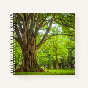 Großer Baum im Park Notizbuch