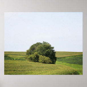 Großer Baum in einem Feld mit ländlichem Hintergru Poster