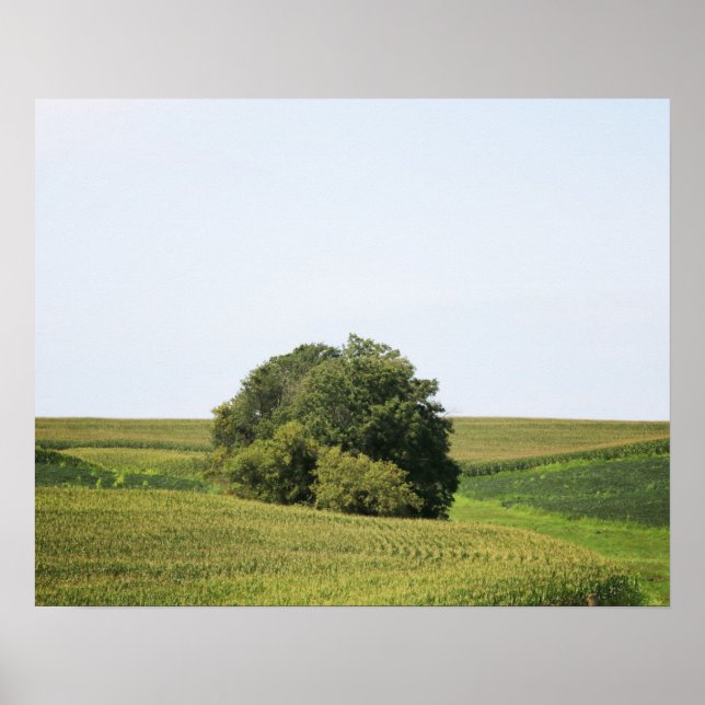 Großer Baum in einem Feld mit ländlichem Hintergru Poster (Vorne)
