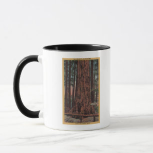 Großer Baum-Staats-Park, CA - Tasse