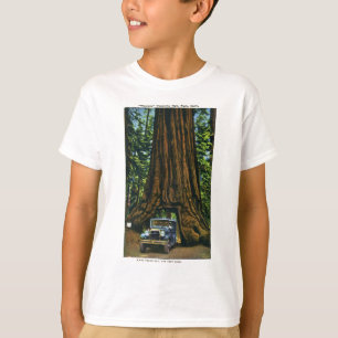 Großer Baum Wawona, Mariposa Waldung, CA T-Shirt