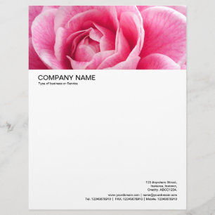 Großer Bildkopf - Rosa Camelia Briefkopf