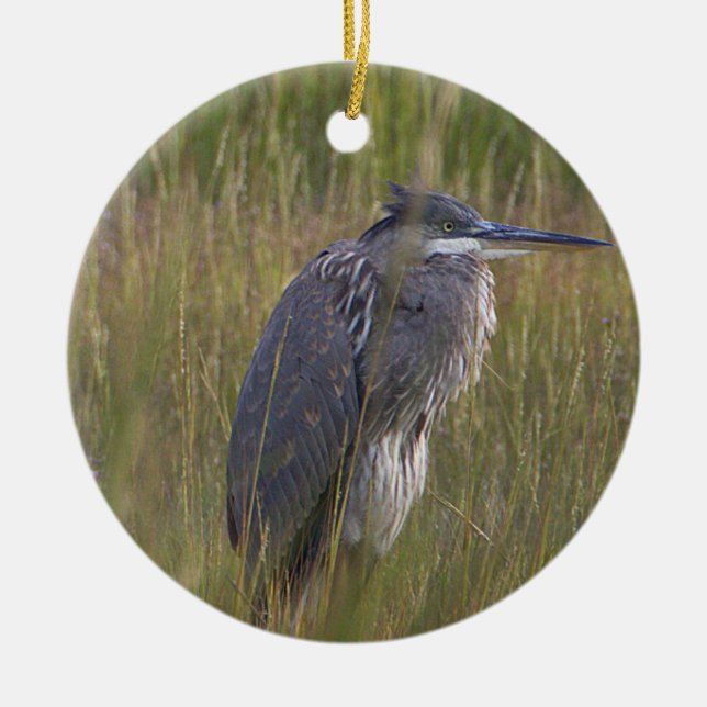 Großer Blau Reiher Vogel Ornament (Vorne)