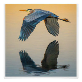 Großer Blau Reiher Wandkunst | Eleganter Vogelpost Poster