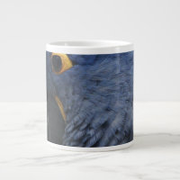 Großer blauer Macaw auf großer Kaffee-Tasse