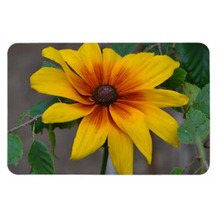 Großer Blumen-Magnet Magnet