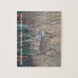 Großer Bock, Shenandoah National Park Puzzle