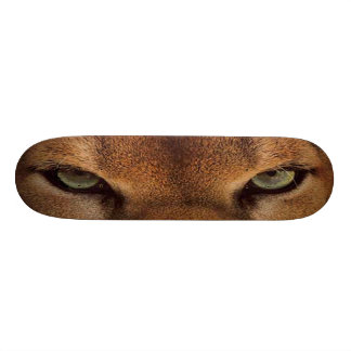 GROSSER böser Berg CAT SKATEBOARD-6 - Puma Skateboard