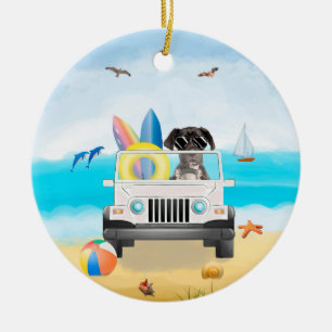 Großer Dan Dog Driving on Beach Keramik Ornament