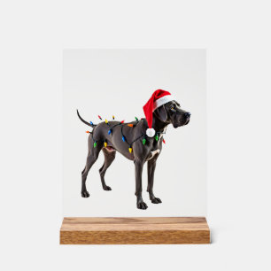 Großer Däne Feiertags-Weihnachtslicht (4) Acrylschild