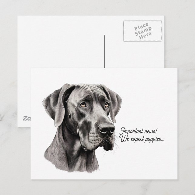 Großer Dane Head zeichnend Postkarte (Vorne/Hinten)