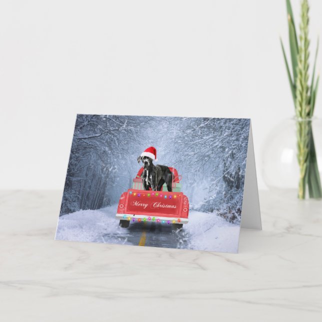 Großer Däne Hund im Schnee sitzend im Weihnachtswa Karte (Vorderseite)
