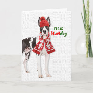Großer Däne Hund Lustige Flöhe Navidog Weihnachten