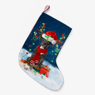 Großer Dane Hund mit Weihnachtsgeschenken Kleiner Weihnachtsstrumpf