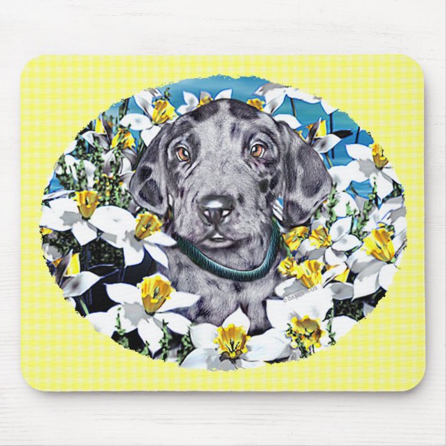 Großer Dane Pup in Daffodils Merle Mousepad (Vorne)