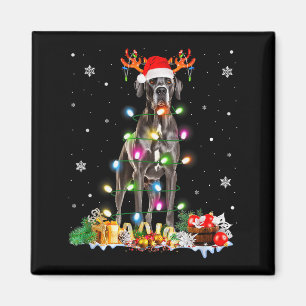 Großer Däne Weihnachten Santa Hut Lichter Pyjama Magnet