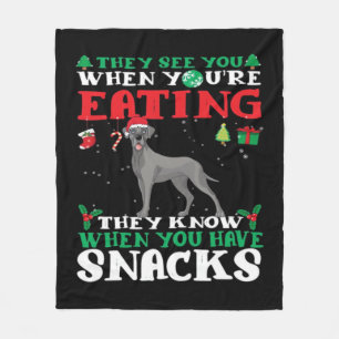 Großer Däne Weihnachtsspaß Classic T-Shirt Fleecedecke