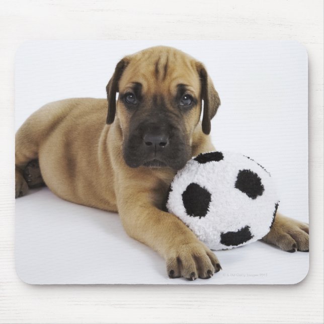 Großer Dane Welpe mit Spielzeugfußball Mousepad (Vorne)