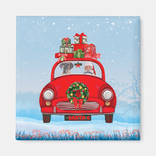 Großer Dänen-Hund in Auto mit dem Weihnachtsmann Magnet