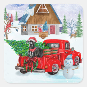 Großer Dänischer Hund im Weihnachtslieferwagen Sch Quadratischer Aufkleber
