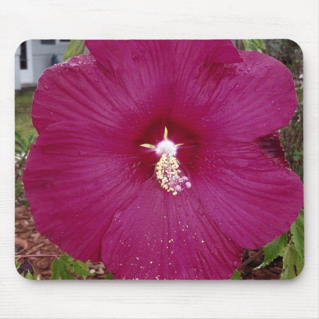 großer dunkelroter Hibiskus Mousepad (Vorne)
