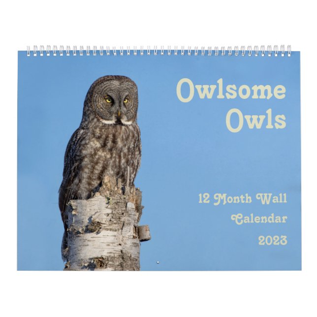Großer Eukalyptus Kalender (Titelbild)