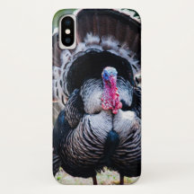 Grosser festlicher Erntedank Türkei