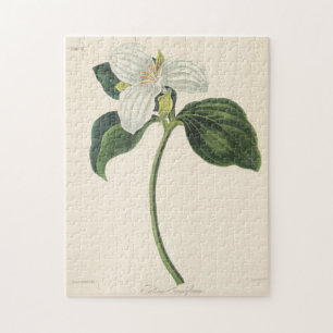 Großer geblühter Trillium Puzzle