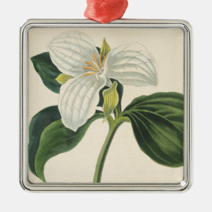Großer geblühter Trillium Silbernes Ornament