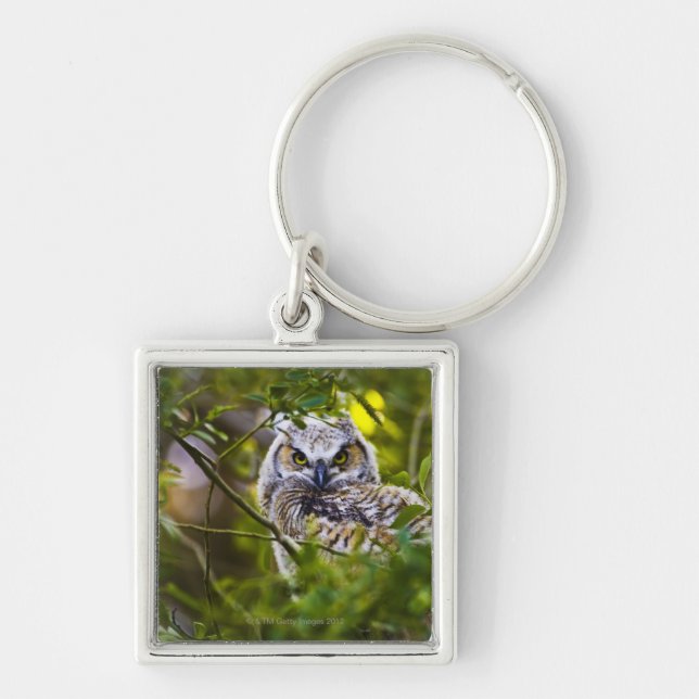 Großer gehörnter Owlet Schlüsselanhänger (Vorne)