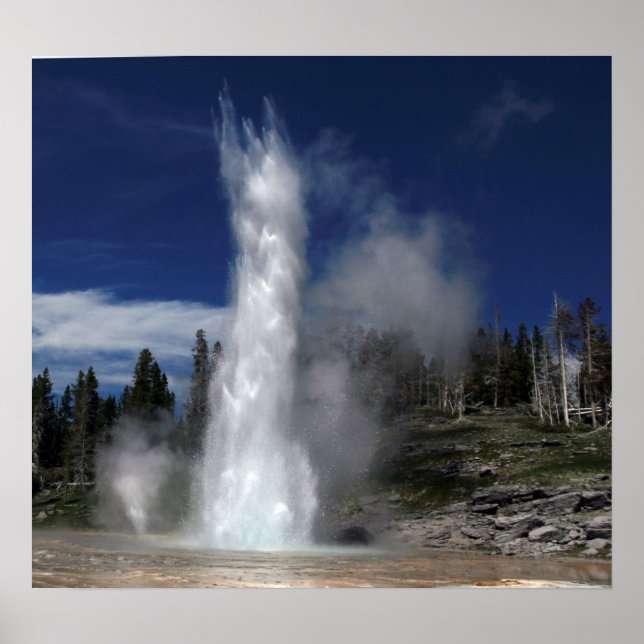 Großer Geyser und Schlot-Geyser aus Yellowstone Poster (Vorne)