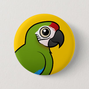 Großer grüner Macaw Button