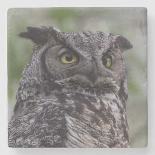 Großer Horned Owl Stone Untersetzer