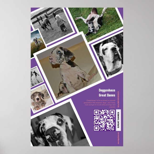 Großer Hundeverkauf Poster (Vorne)
