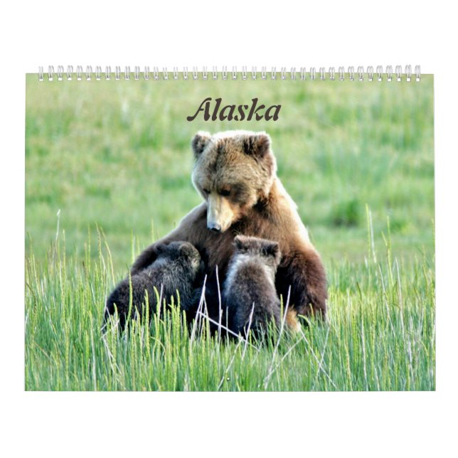 Großer Kalender von Alaska (Titelbild)