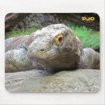 Großer Komodo Drache