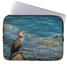 Großer Kormoran auf den Felsen