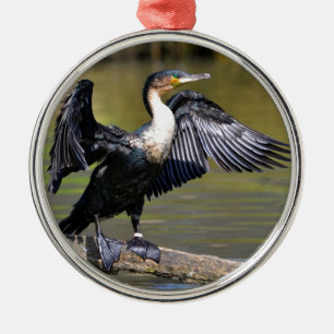Großer Kormoran mit geöffneten Flügeln Silbernes Ornament