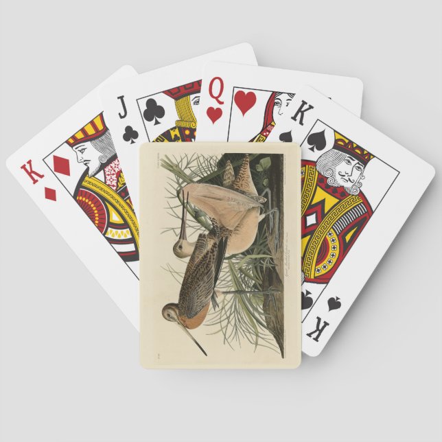Großer Marmorschwanz - Audubons Vögel in Amerika Spielkarten (Rückseite)